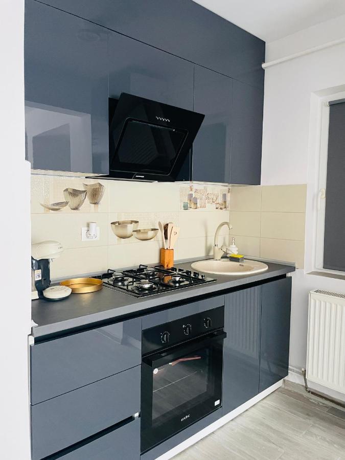 Timisoara Central Apartment New Parking !! Екстериор снимка