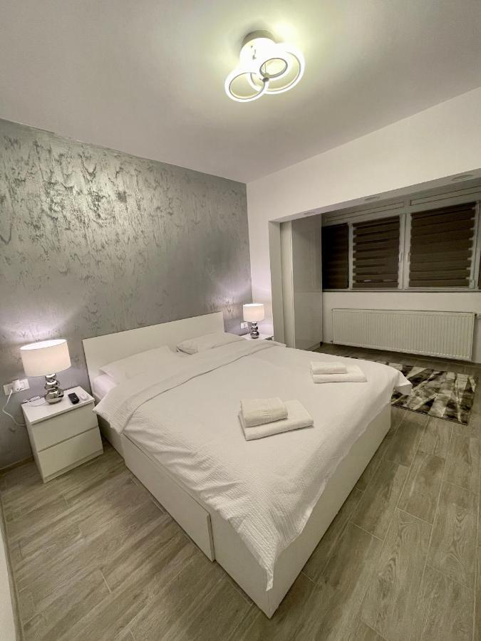 Timisoara Central Apartment New Parking !! Екстериор снимка