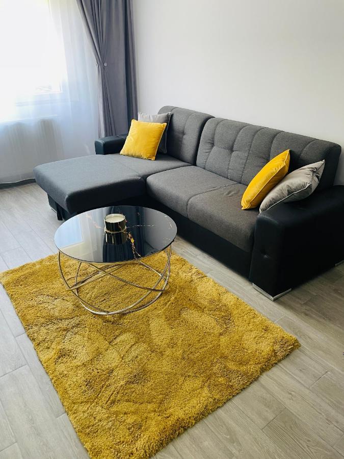 Timisoara Central Apartment New Parking !! Екстериор снимка