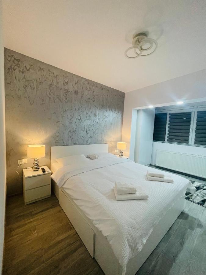 Timisoara Central Apartment New Parking !! Екстериор снимка