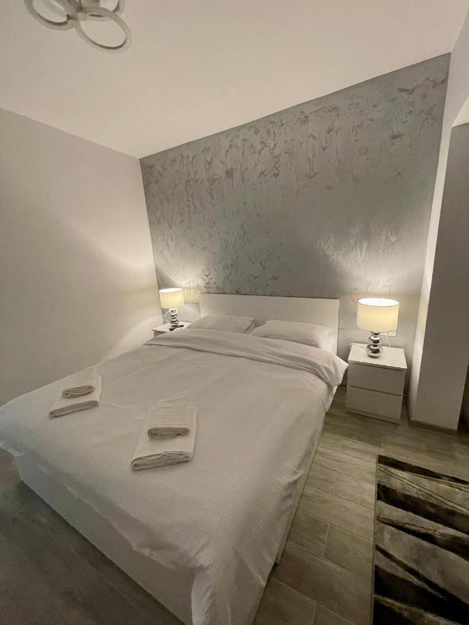 Timisoara Central Apartment New Parking !! Екстериор снимка