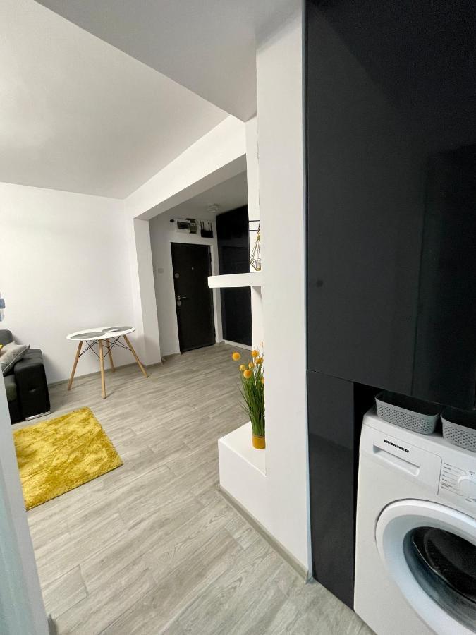 Timisoara Central Apartment New Parking !! Екстериор снимка
