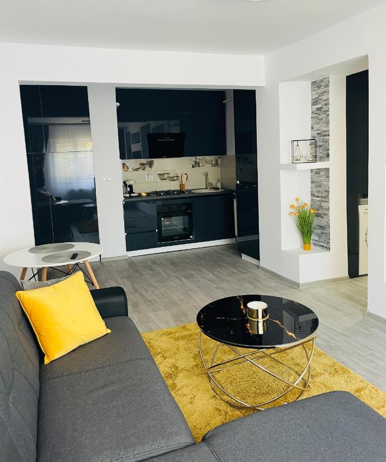 Timisoara Central Apartment New Parking !! Екстериор снимка