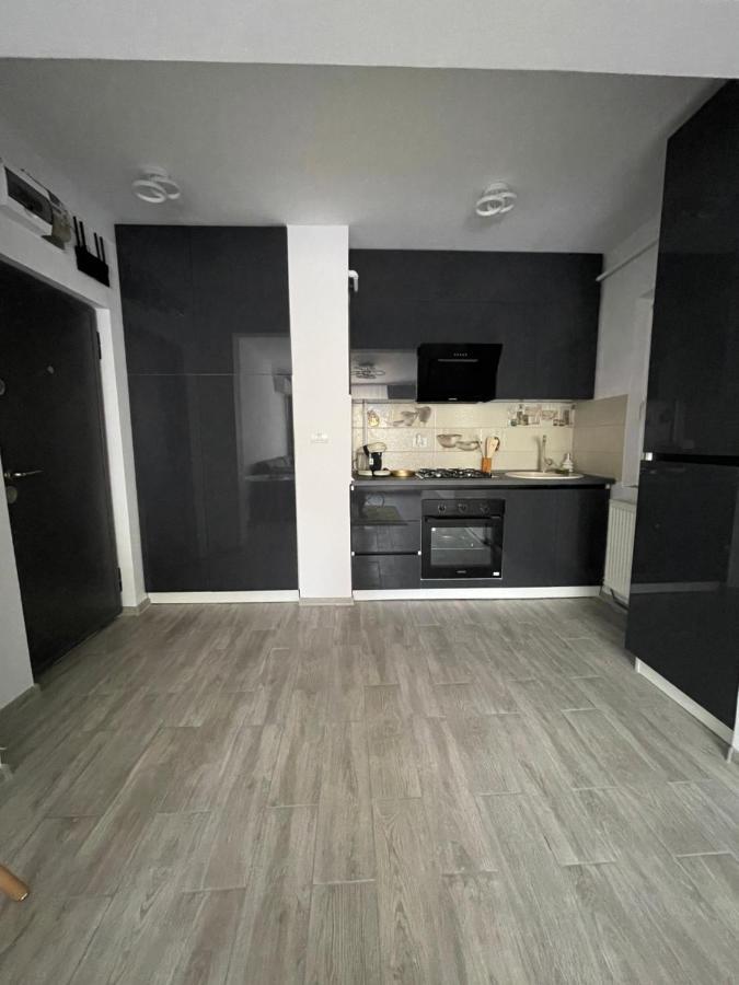 Timisoara Central Apartment New Parking !! Екстериор снимка