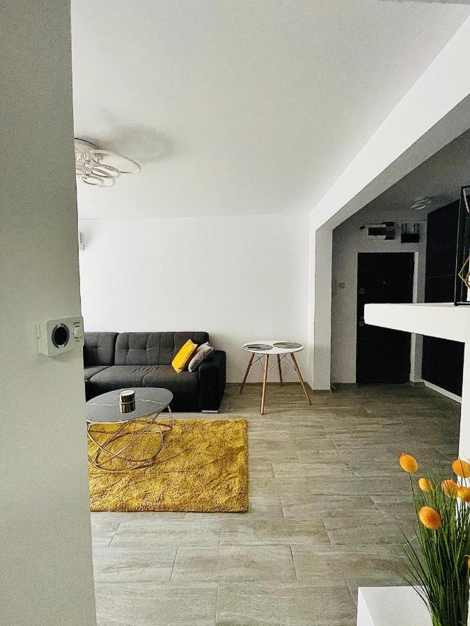 Timisoara Central Apartment New Parking !! Екстериор снимка