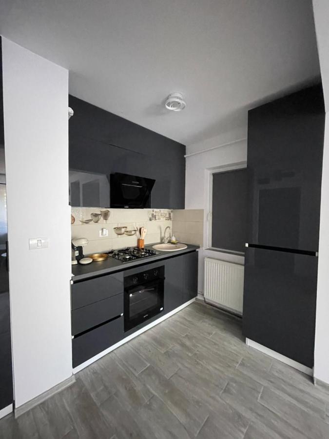 Timisoara Central Apartment New Parking !! Екстериор снимка