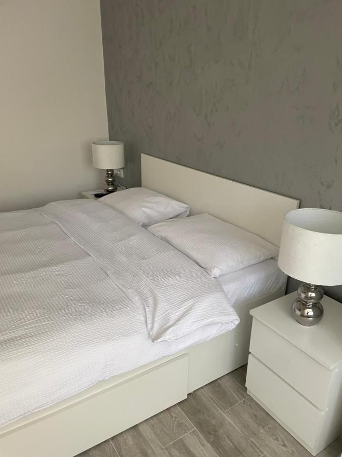 Timisoara Central Apartment New Parking !! Екстериор снимка