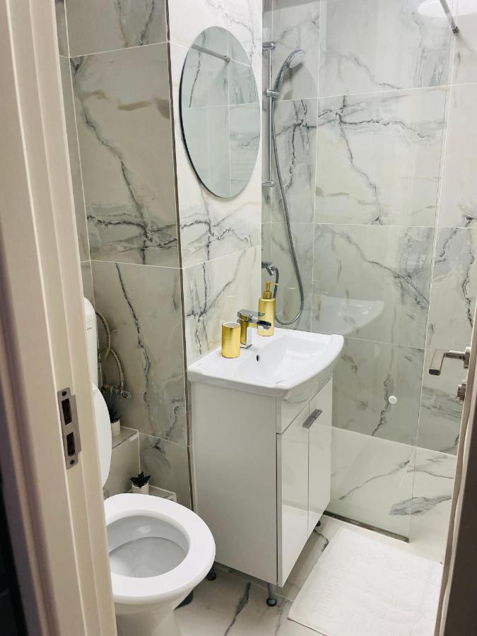 Timisoara Central Apartment New Parking !! Екстериор снимка