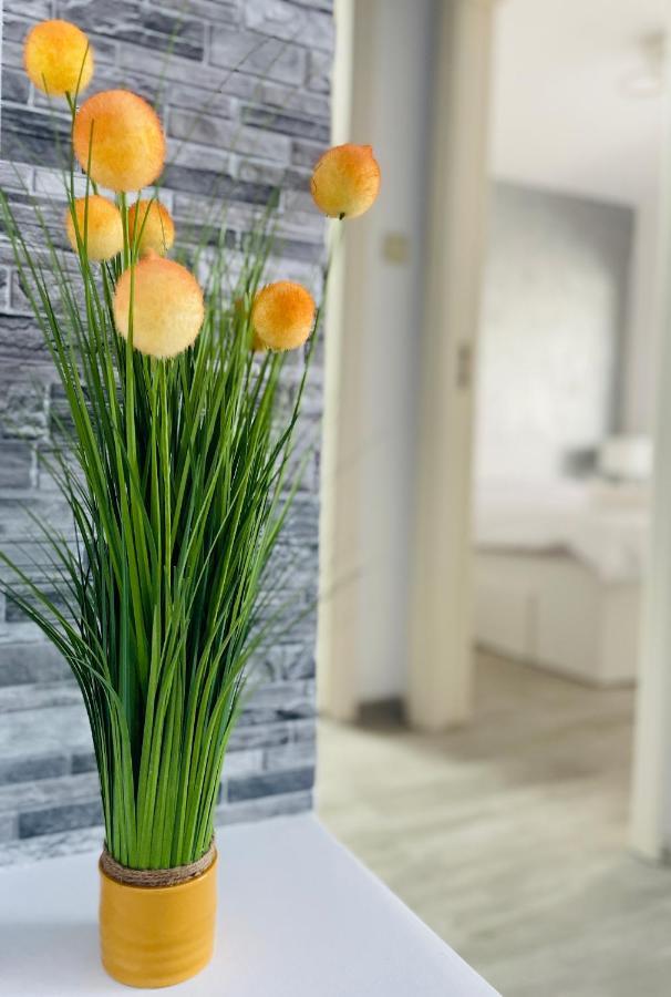 Timisoara Central Apartment New Parking !! Екстериор снимка