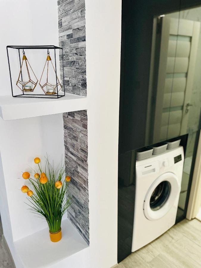 Timisoara Central Apartment New Parking !! Екстериор снимка