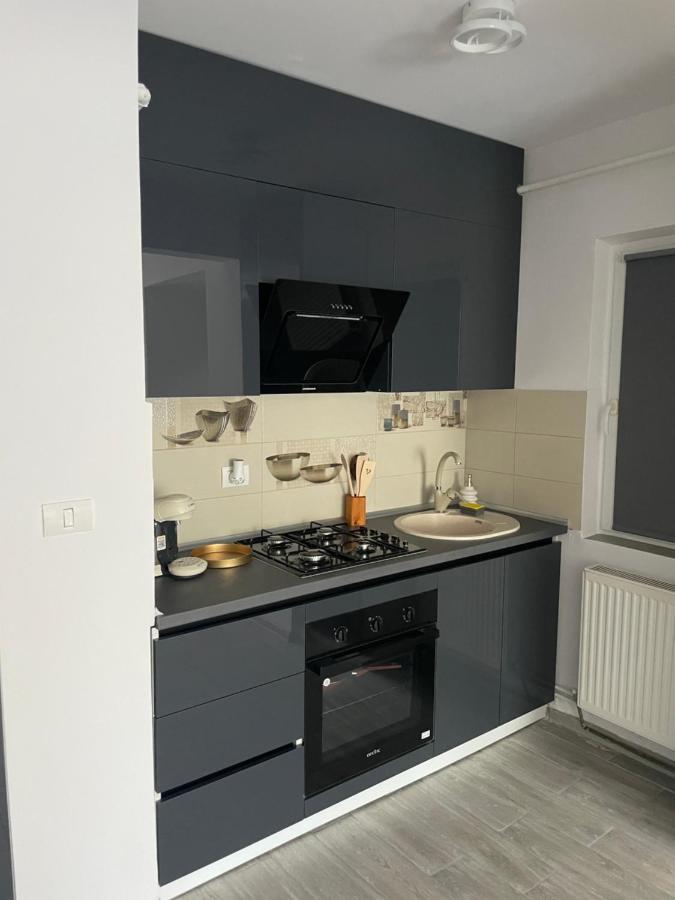 Timisoara Central Apartment New Parking !! Екстериор снимка