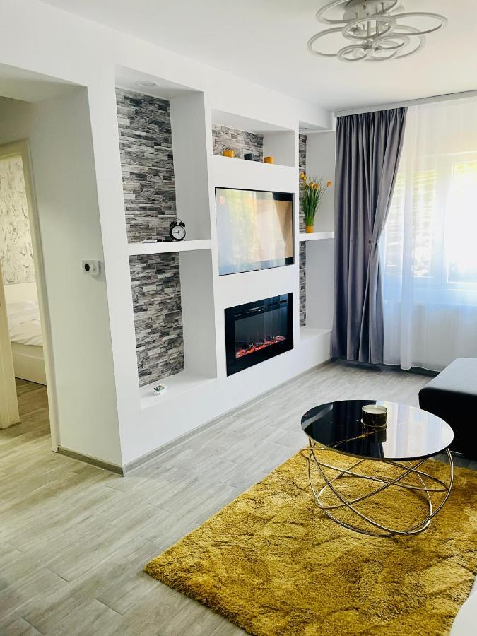 Timisoara Central Apartment New Parking !! Екстериор снимка