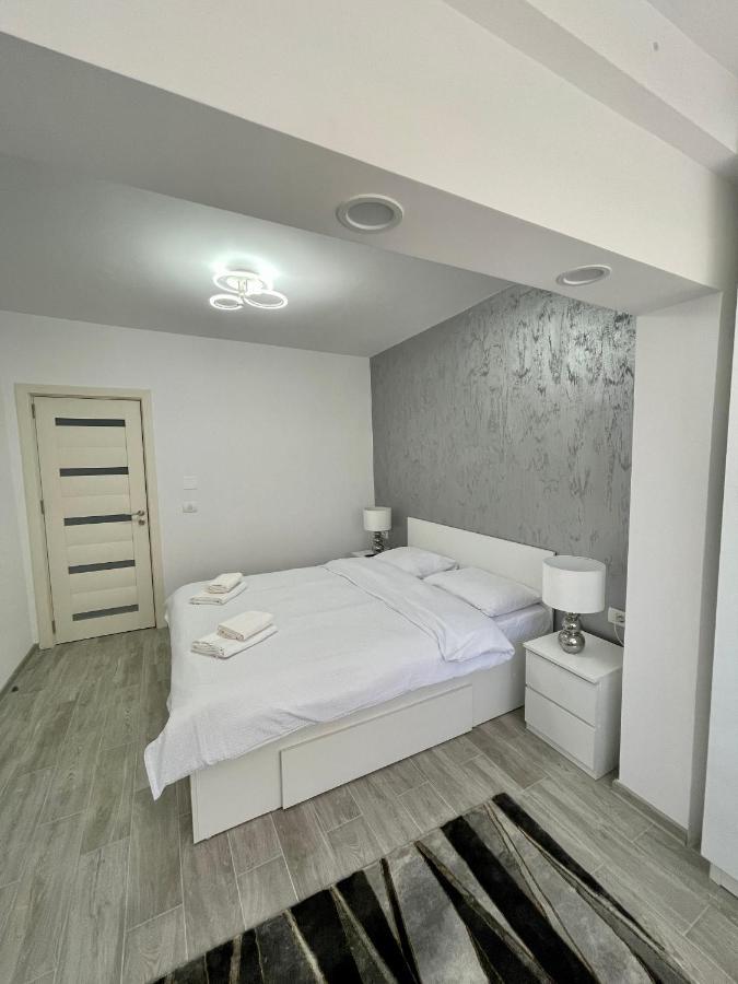 Timisoara Central Apartment New Parking !! Екстериор снимка